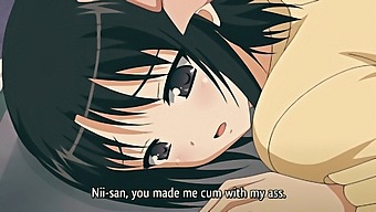 Anime Babe With Natural Tits Enjoys Intense Anal And Ass Play In Hd